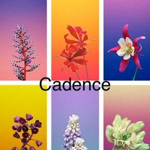 Meet your Posher, Cadence